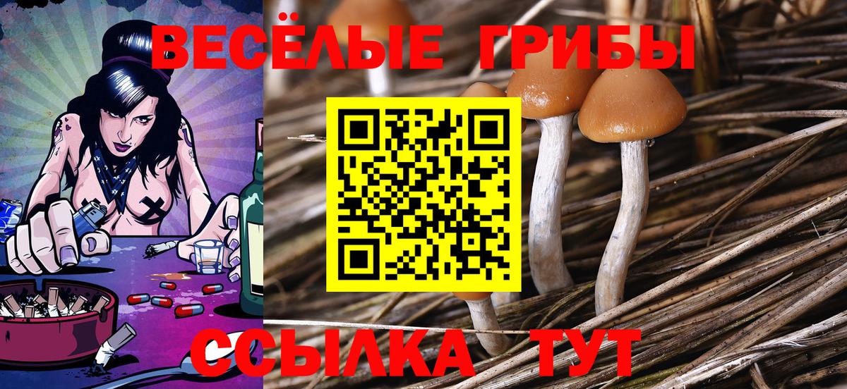 Псилоцибиновые грибы ЛСД Моздок